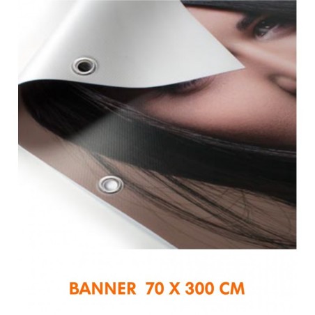 Banner 70 x 300