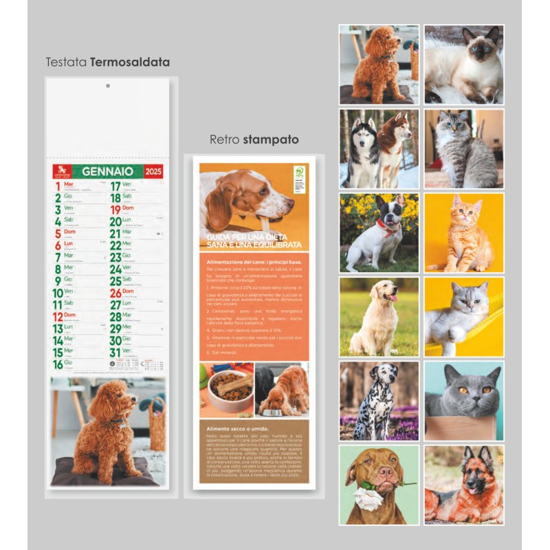 Calendari Illustrati Cani e Gatti